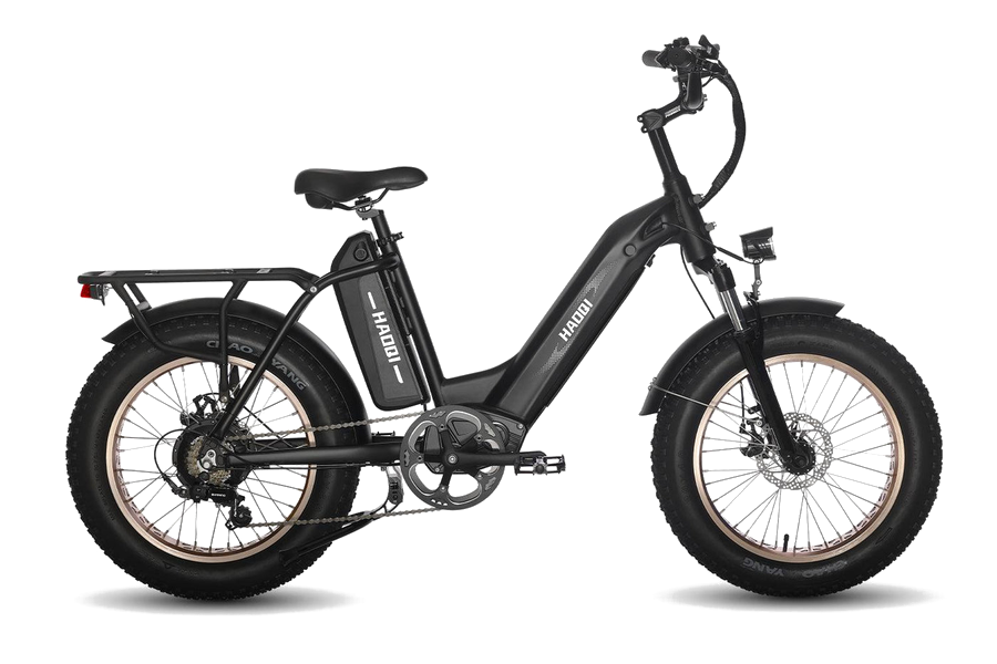 HAOQI Antelope Pro Cargo electric bike